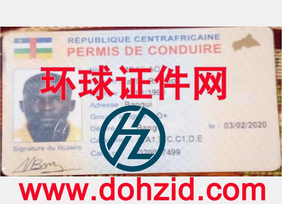 中非共和国驾驶证