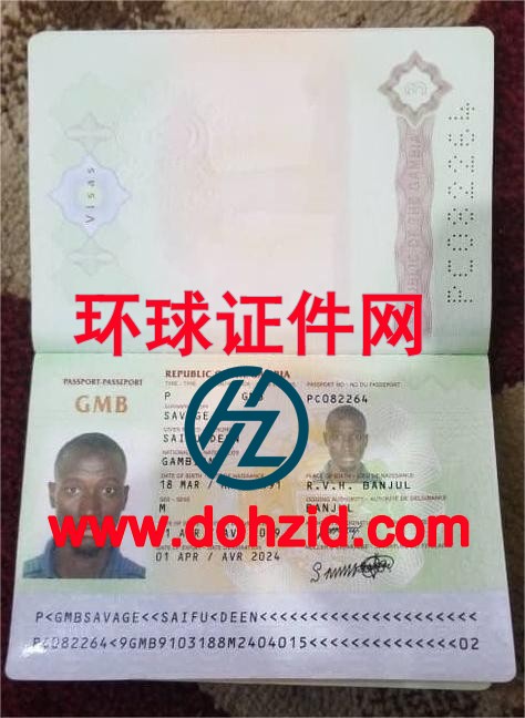 冈比亚护照