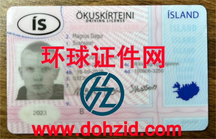 冰岛驾驶证