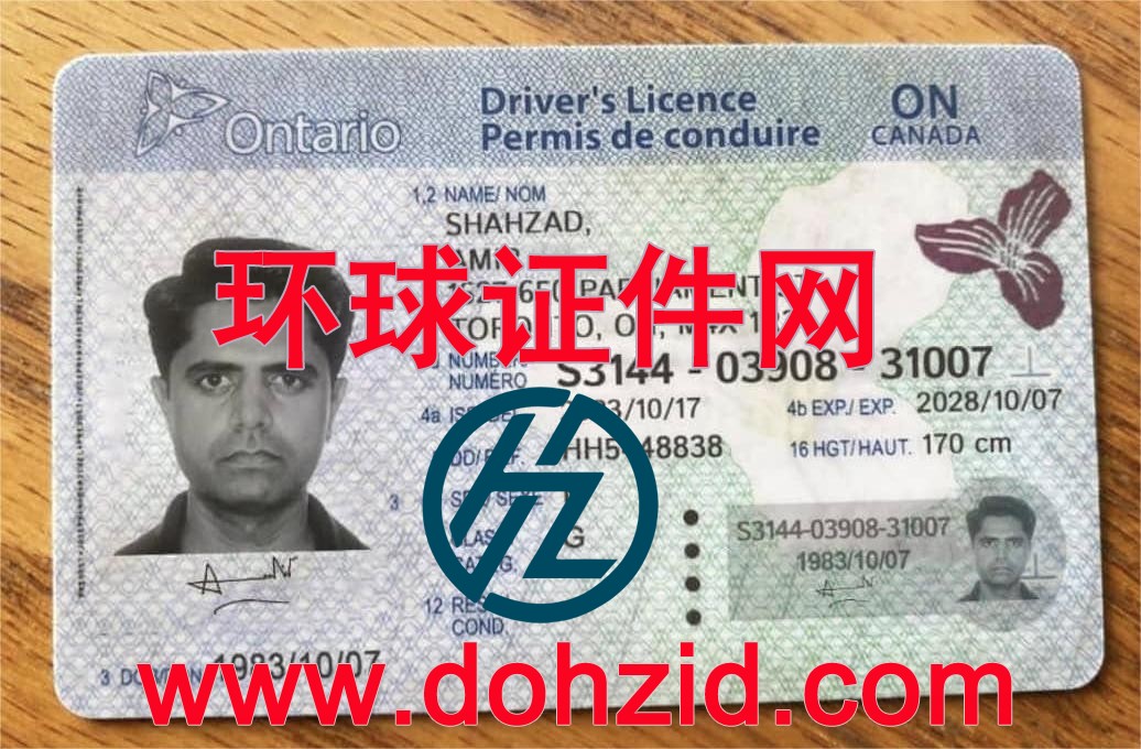 加拿大安大略省驾驶证
