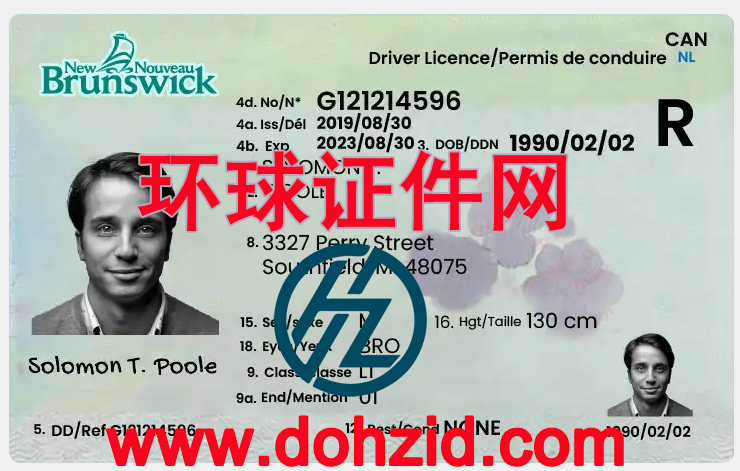 加拿大新不伦瑞克省驾驶证