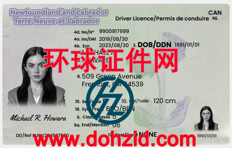 加拿大纽芬兰与拉布拉多省驾驶证
