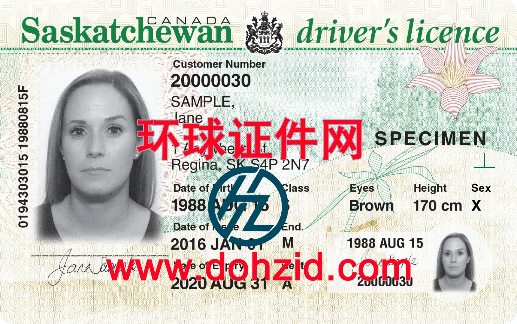 加拿大萨斯喀彻温省驾驶证