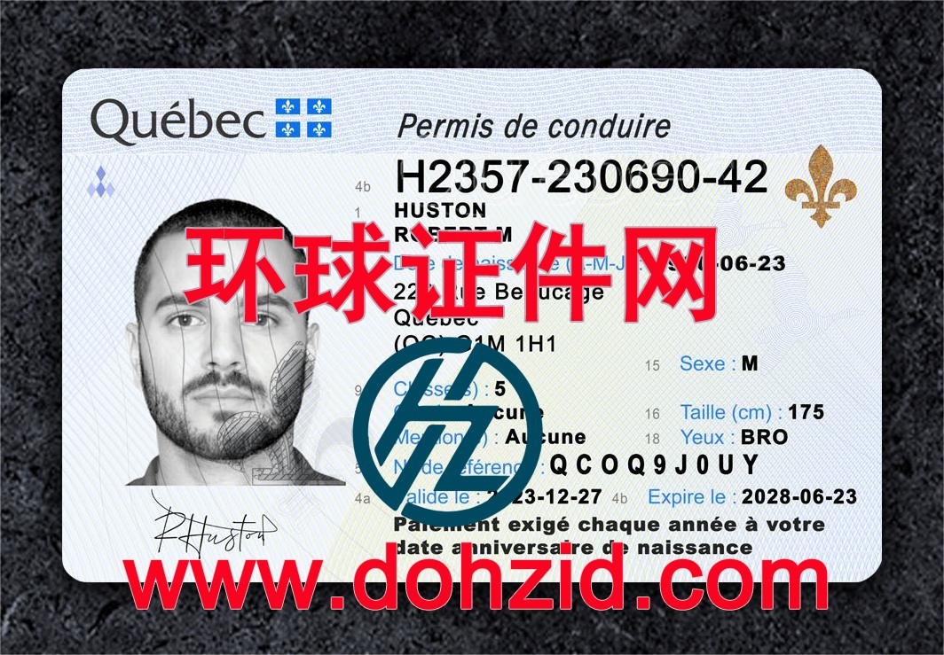 加拿大魁北克省驾驶证