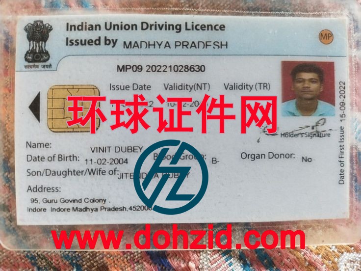 印度驾驶证