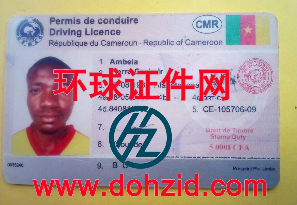 喀麦隆驾驶证 喀麦隆驾驶证