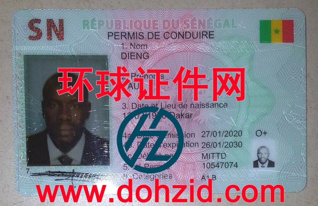 塞内加尔驾驶证