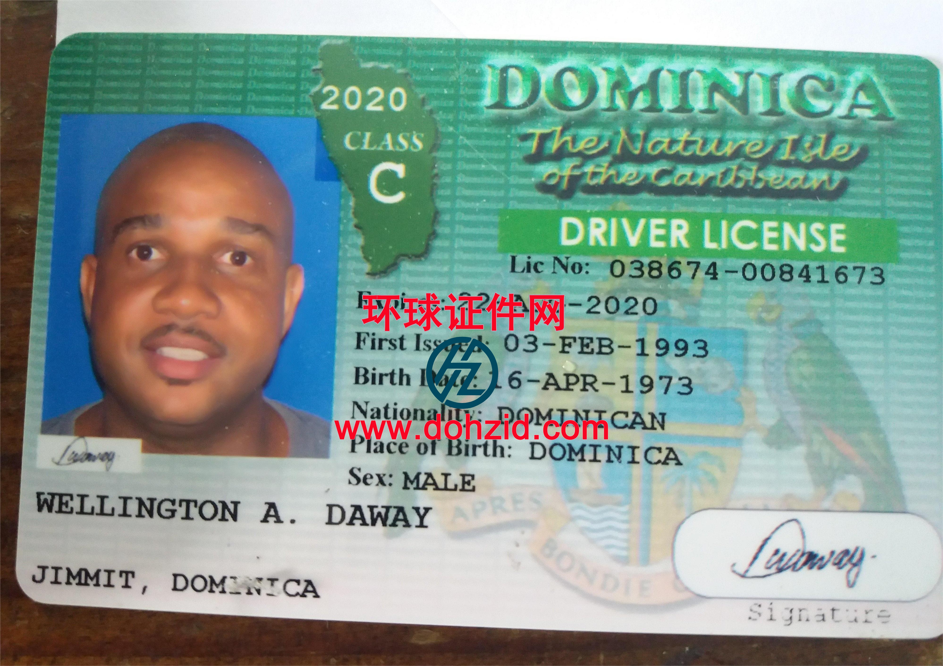多米尼克驾驶证