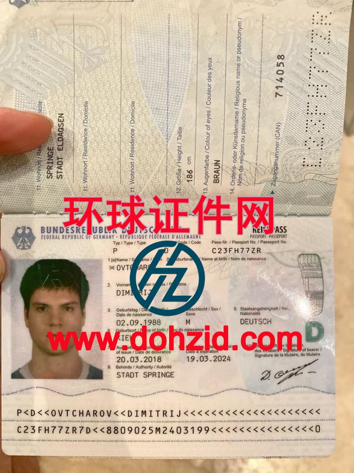 德国护照