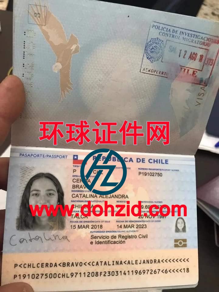 智利护照