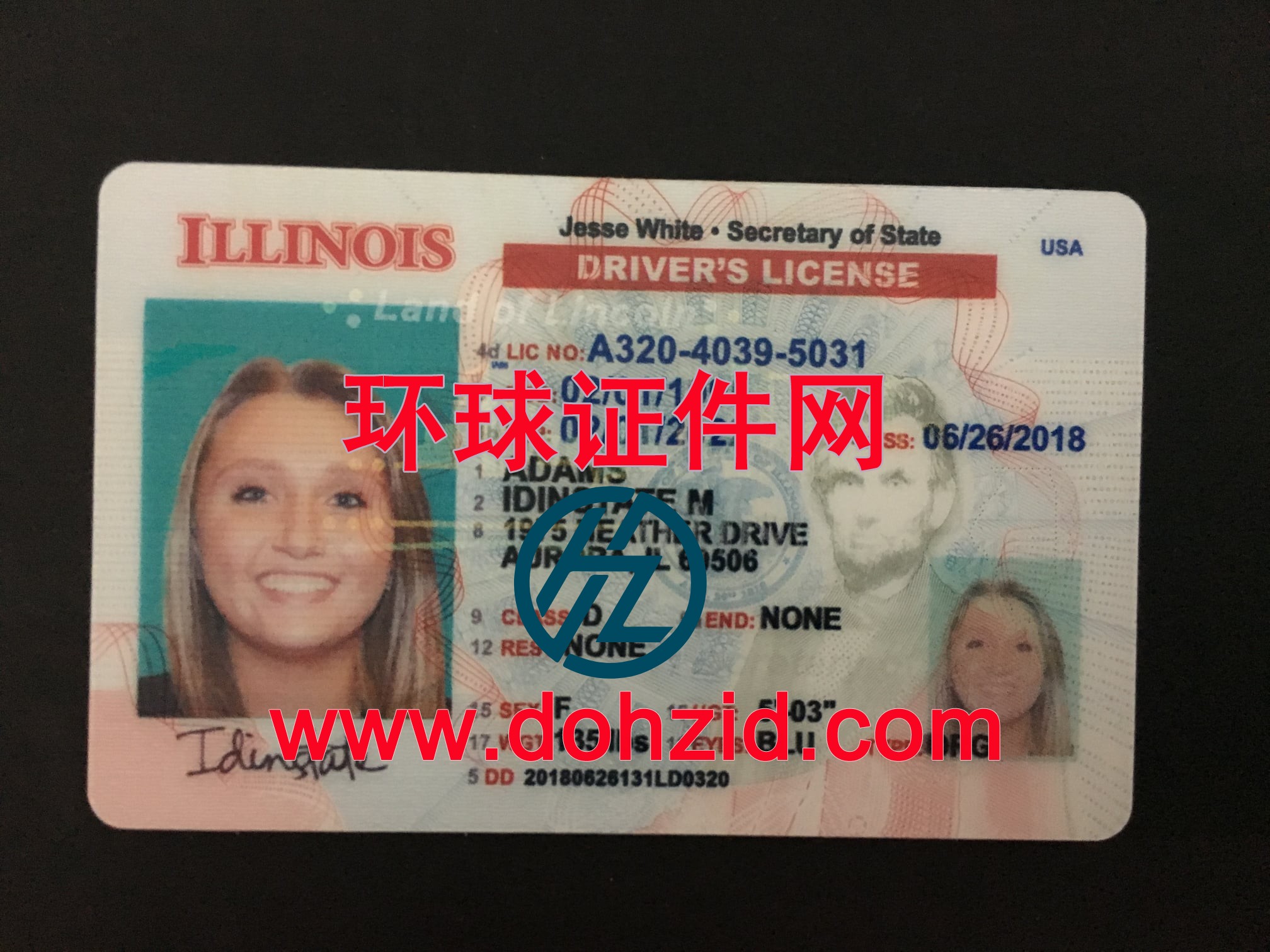 美国伊利诺伊州驾驶证