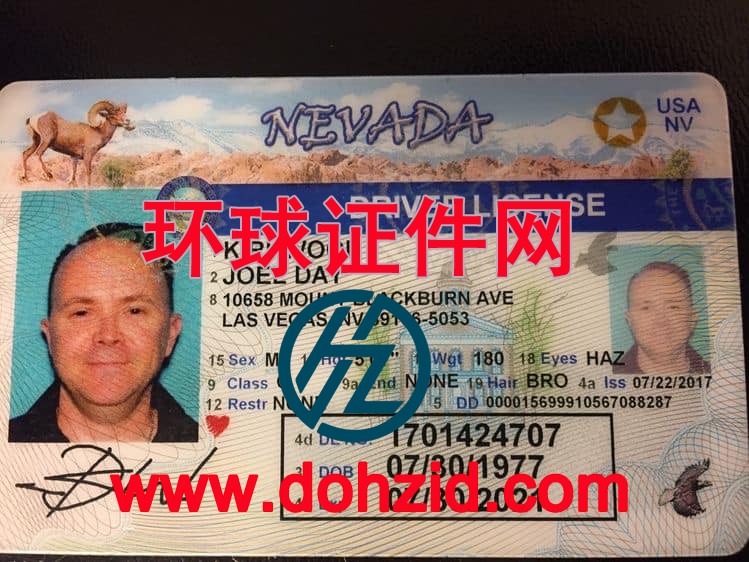 美国内华达州驾驶证