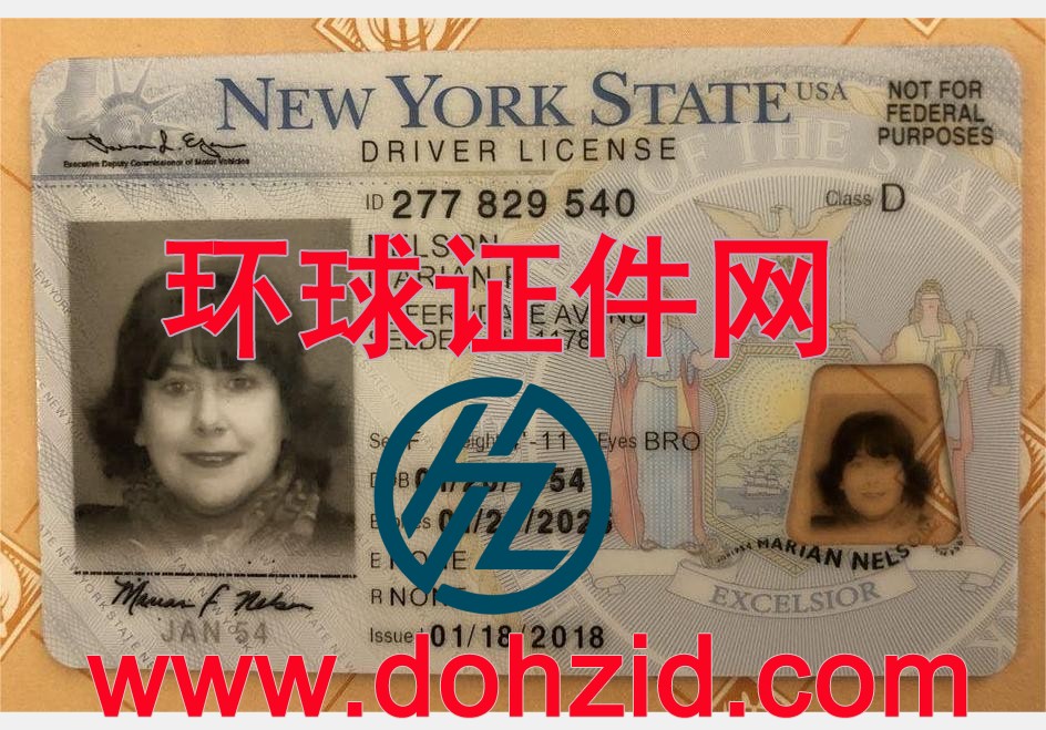 美国纽约驾驶证