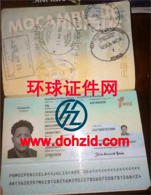 莫桑比护照