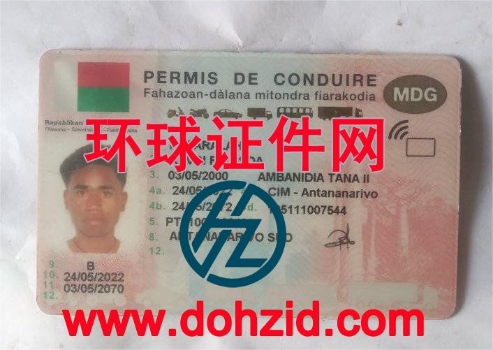 马达加斯加驾驶证
